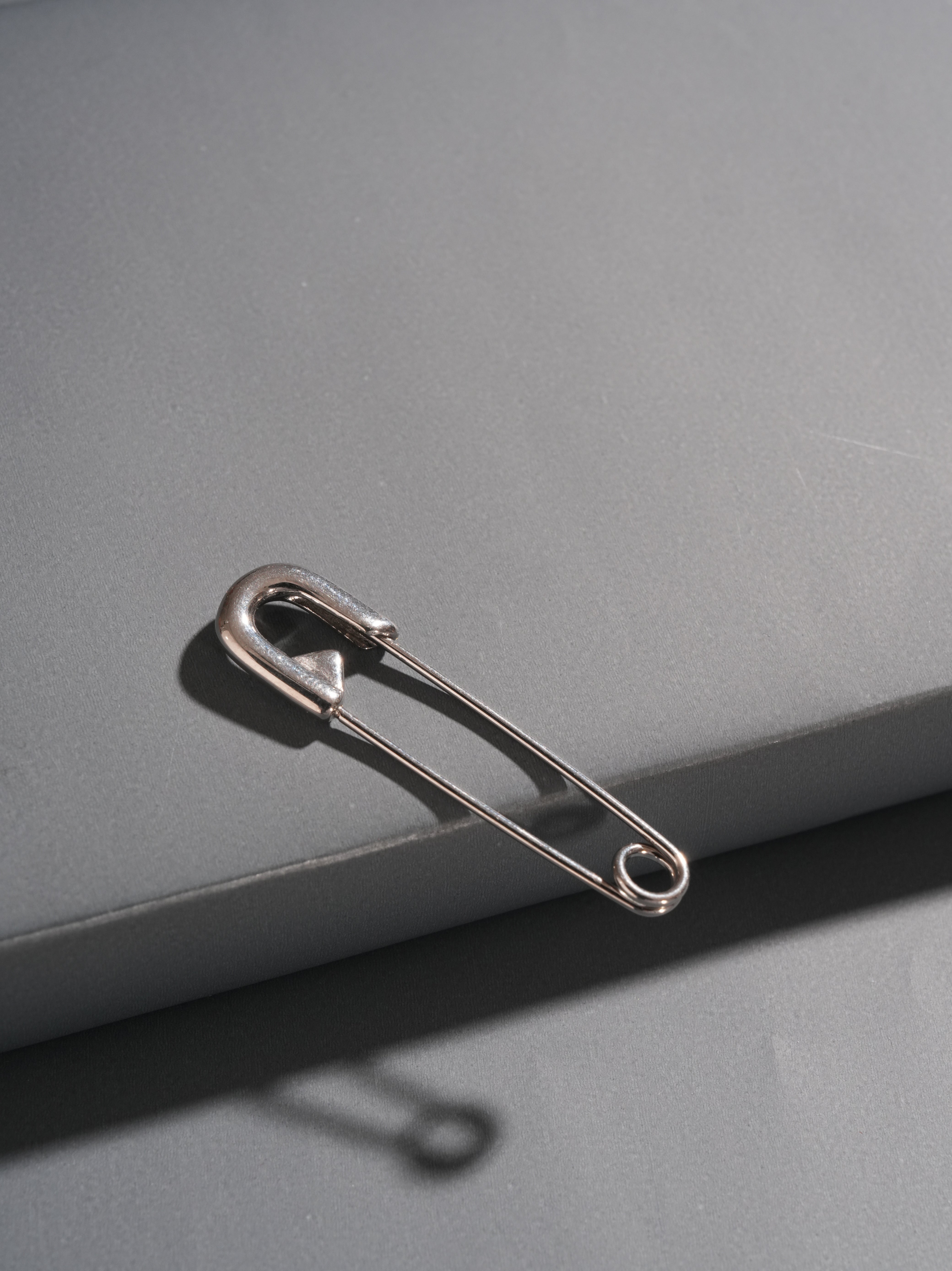 Pinline Earring Silver